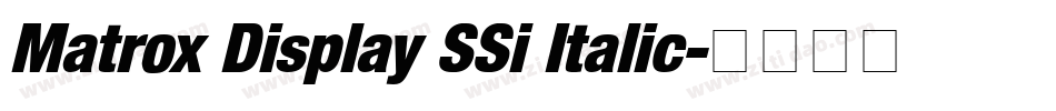 Matrox Display SSi Italic字体转换